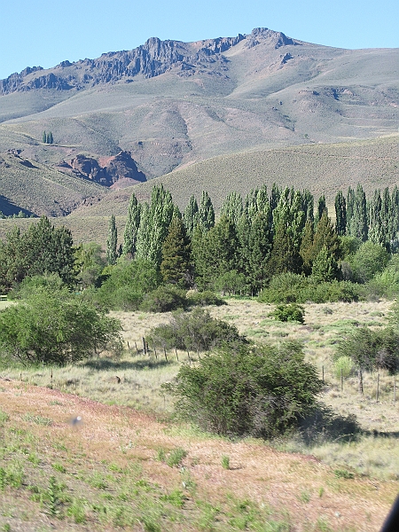 Patagonie 461.jpg